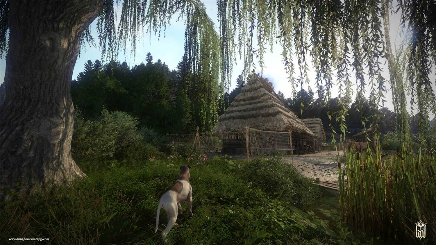 天国：拯救/Kingdom Come: Deliverance