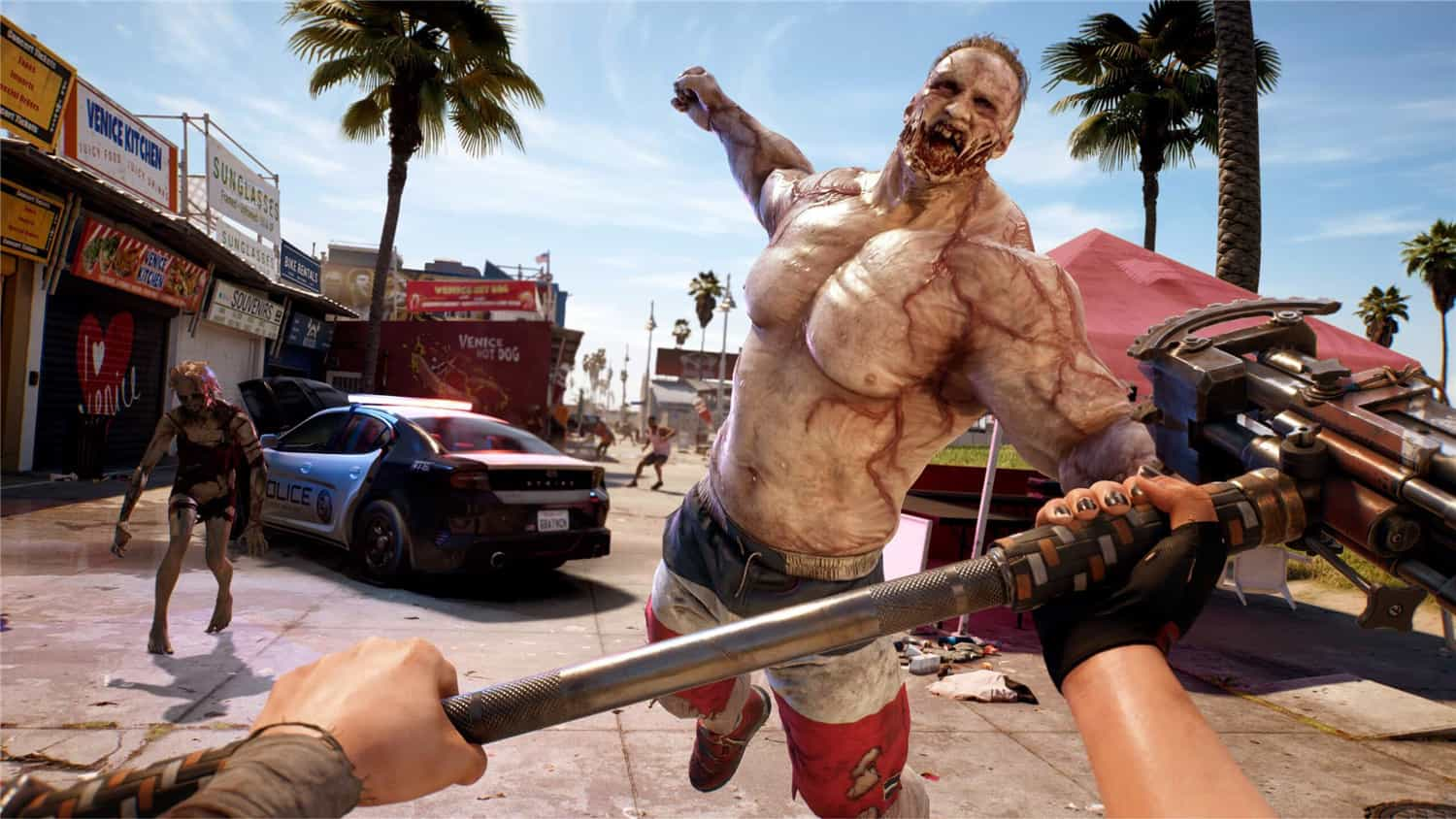 死亡岛2/Dead Island 2/支持网络联机